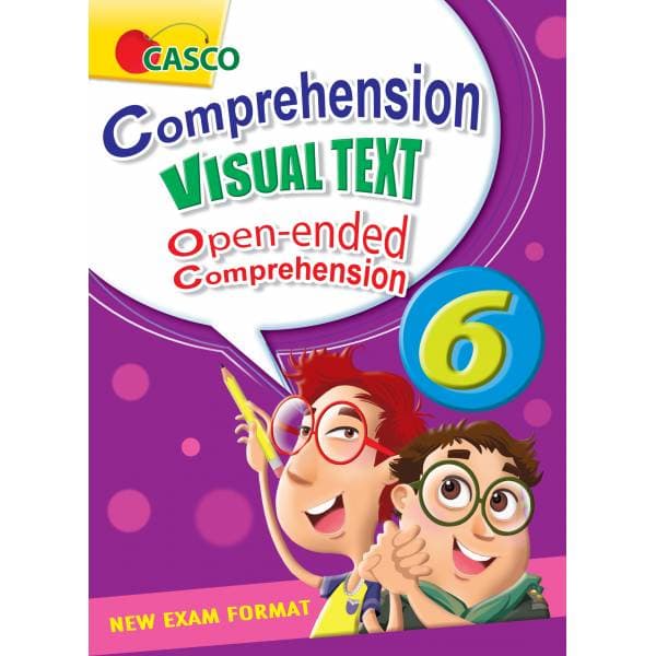P6 Comprehension Visual Text
